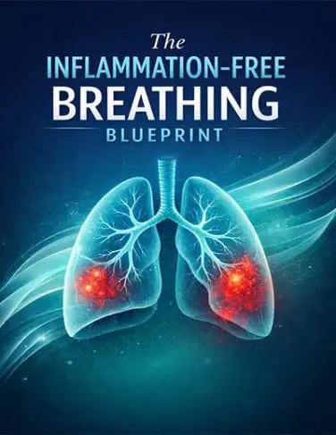 Clean Air Living Guide
